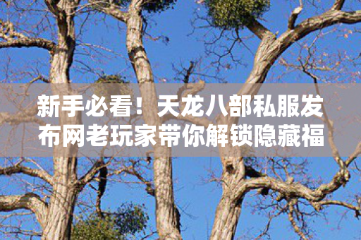 天龙八部私服发布网老玩家带你解锁隐藏福利天龙八部私服图片