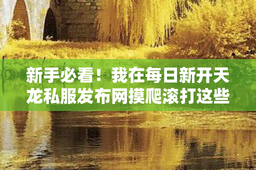 我在每日新开天龙私服发布网摸爬滚打这些年总结的保姆级攻略天龙八部私服图片