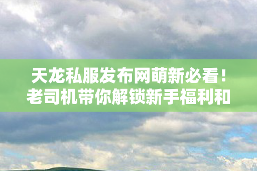 老司机带你解锁新手福利和隐藏副本玩法天龙八部私服图片