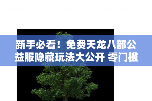 免费天龙八部公益服隐藏玩法大公开 零门槛也能爽玩一整天天龙私服图片