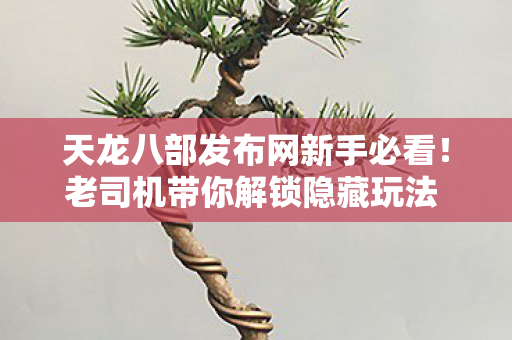 老司机带你解锁隐藏玩法 轻松上手不踩坑天龙私服图片