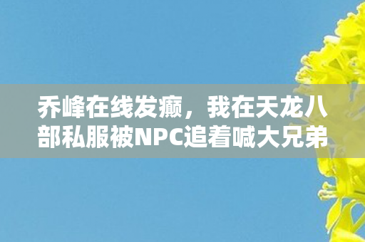 我在天龙八部私服被NPC追着喊大兄弟砍怪带带我天龙八部私服图片