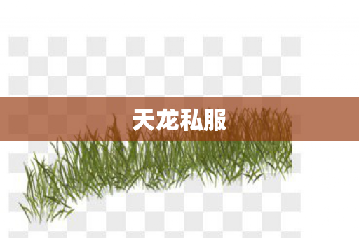 天龙私服图片