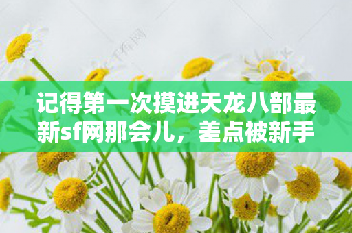 记得第一次摸进天龙八部最新sf网那会儿图片