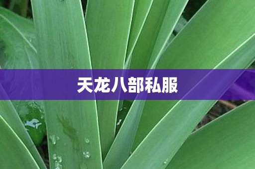 天龙八部私服图片
