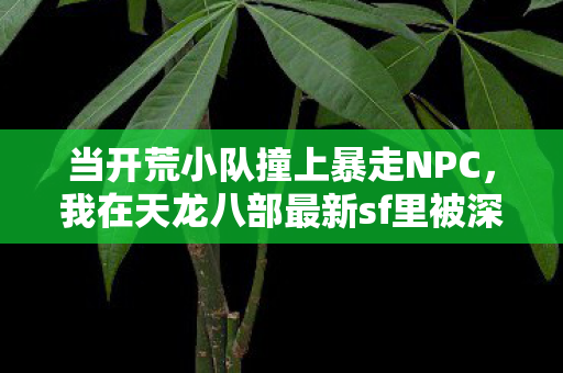 我在天龙八部最新sf里被深渊副本教做人的那些年天龙八部私服图片