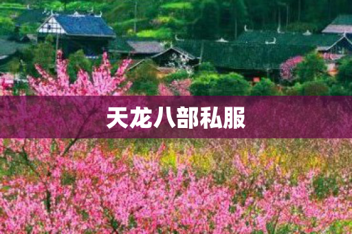 天龙八部私服图片