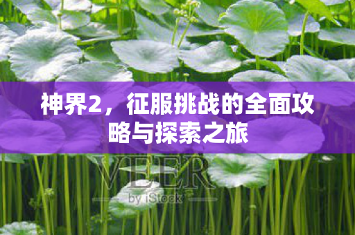 征服挑战的全面攻略与探索之旅图片