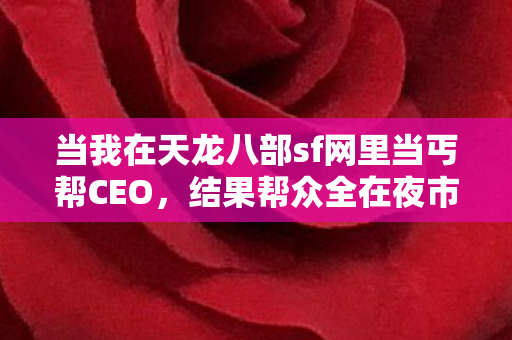 当我在天龙八部sf网里当丐帮CEO图片