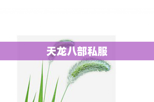 天龙八部私服图片