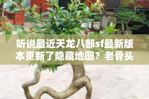 听说最近天龙八部sf最新版本更新了隐藏地图图片