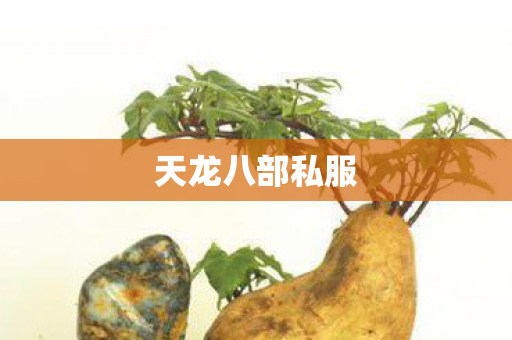 天龙八部私服图片