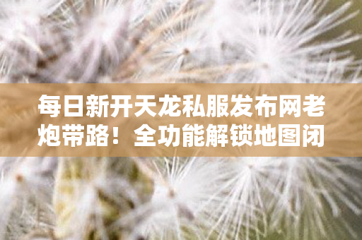 每日新开天龙私服发布网老炮带路图片