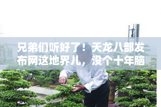 当年老子在燕子坞被慕容复连虐18次图片