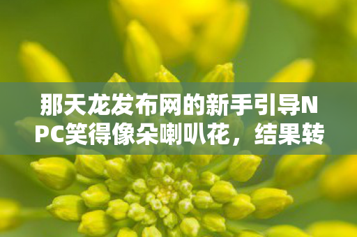 这破网站总爱用最温柔的语气干最坑爹的事天龙八部私服图片
