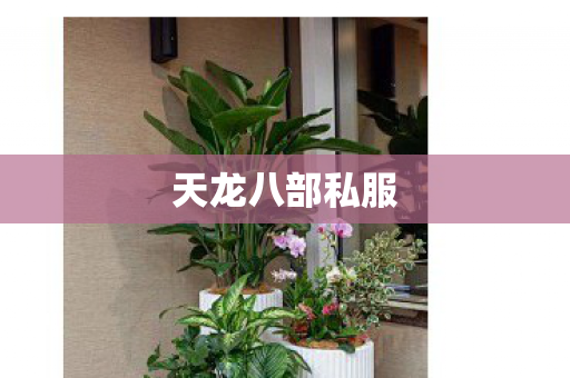 天龙八部私服图片