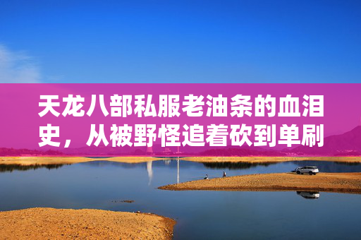 天龙八部私服老油条的血泪史图片