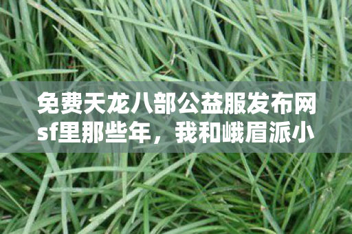 我和峨眉派小姐姐的相爱相杀天龙八部私服图片