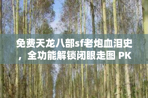 全功能解锁闭眼走图 PK场见谁砍谁 萌新速来抄作业天龙八部私服图片