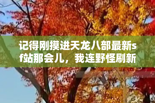 愣是被大理城门口的流氓兔追着啃了三条街图片
