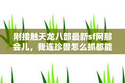 后来才知道大理城杂货铺就有卖低级捕兽绳图片
