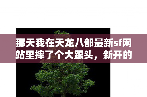 那天我在天龙八部最新sf网站里摔了个大跟头图片