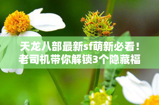 天龙八部最新sf萌新必看！老司机带你解锁3个隐藏福利 轻松白嫖顶级装备天龙八部私服