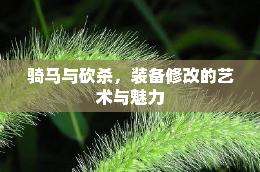 装备修改的艺术与魅力图片