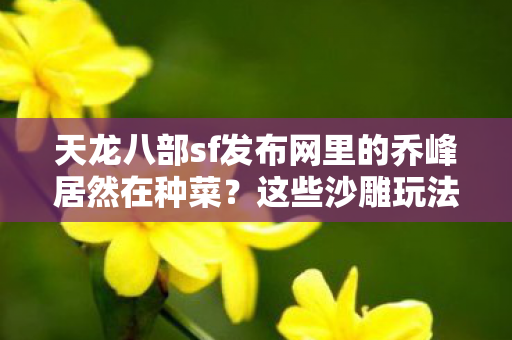 天龙八部sf发布网里的乔峰居然在种菜？这些沙雕玩法让我笑出八块腹肌天龙私服