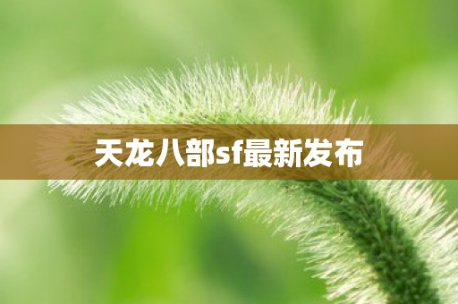 天龙八部sf最新发布 天龙八部sf最新发布