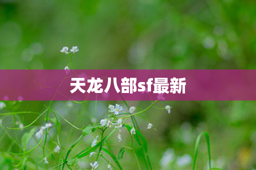天龙八部sf最新图片