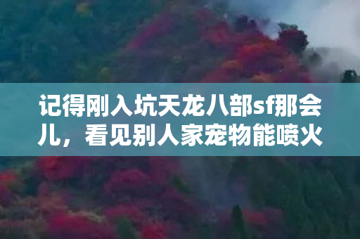 结果自己砸了半个月生活费搞了只烈焰麒麟图片