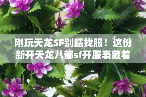 这份新开天龙八部sf开服表藏着新手福利和隐藏玩法天龙八部私服图片