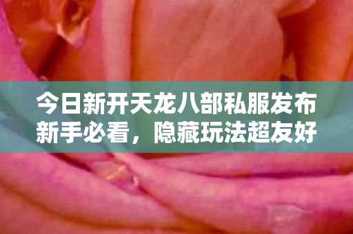 今日新开天龙八部私服发布新手必看图片