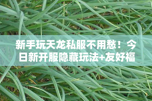 友好福利轻松上手不踩坑天龙八部私服图片