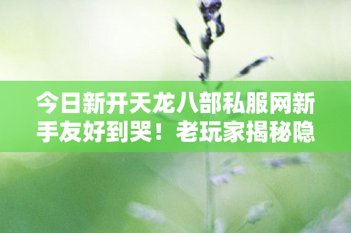 今日新开天龙八部私服网新手友好到哭图片
