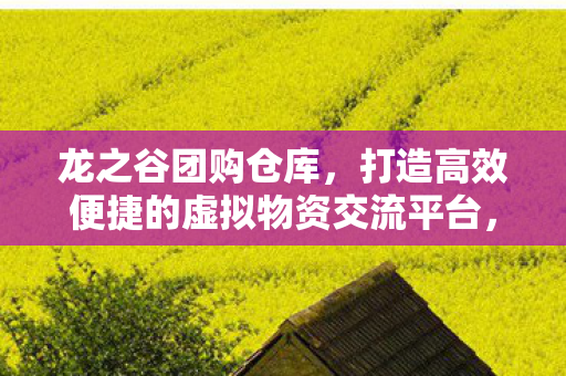 打造高效便捷的虚拟物资交流平台图片