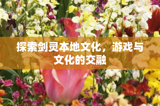 探索剑灵本地文化图片