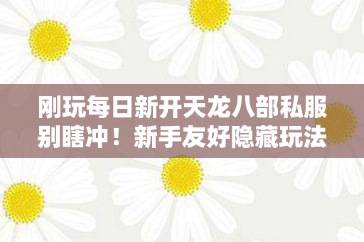 新手友好隐藏玩法我挖3年才摸透天龙私服图片
