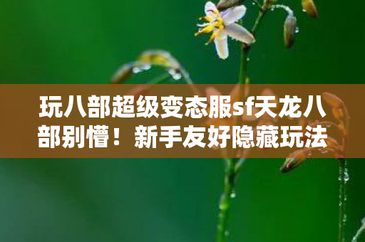 新手友好隐藏玩法我掏心窝子全说给你听天龙私服图片