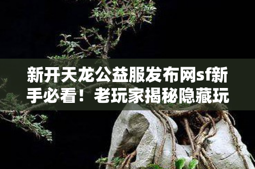 新开天龙公益服发布网sf新手必看图片
