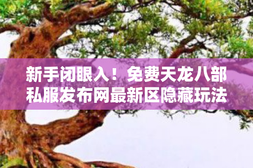 免费天龙八部私服发布网最新区隐藏玩法多图片