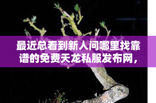 最近总看到新人问哪里找靠谱的免费天龙私服发布网图片