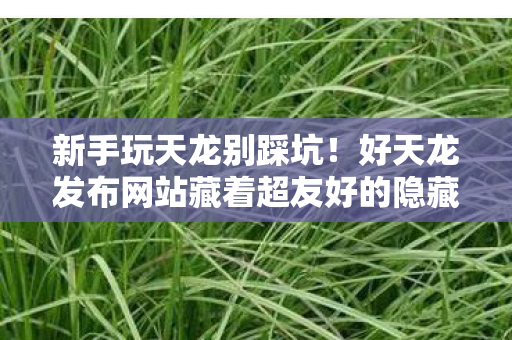好天龙发布网站藏着超友好的隐藏玩法图片