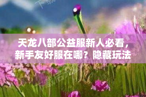 开服表攻略超实用天龙八部私服图片