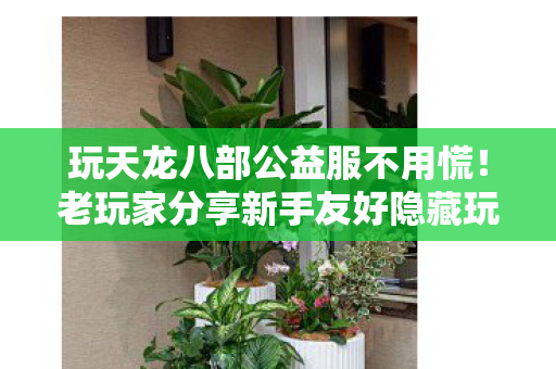 轻松上手少走弯路天龙八部私服图片