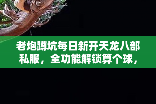 老炮蹲坑每日新开天龙八部私服，全功能解锁算个球，地图闭眼走，PK场见我就乱杀！天龙八部私服