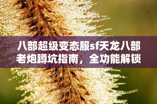 八部超级变态服sf天龙八部老炮蹲坑指南图片
