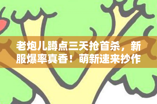 萌新速来抄作业避坑天龙八部私服图片