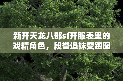 新开天龙八部sf开服表里的戏精角色图片